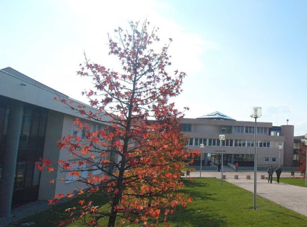 dut licence tetras info annecy acy univserite university bdd emre dilmac